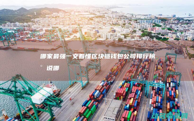 哪家最强 一文看懂 区块链钱包公司排行榜 (小说哪家强)