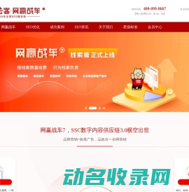 seo优化